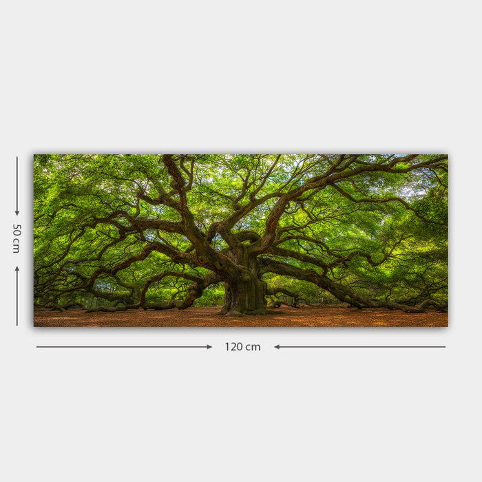 Wallity Lienzo Decorativo Multicolor 50 x 120 cm